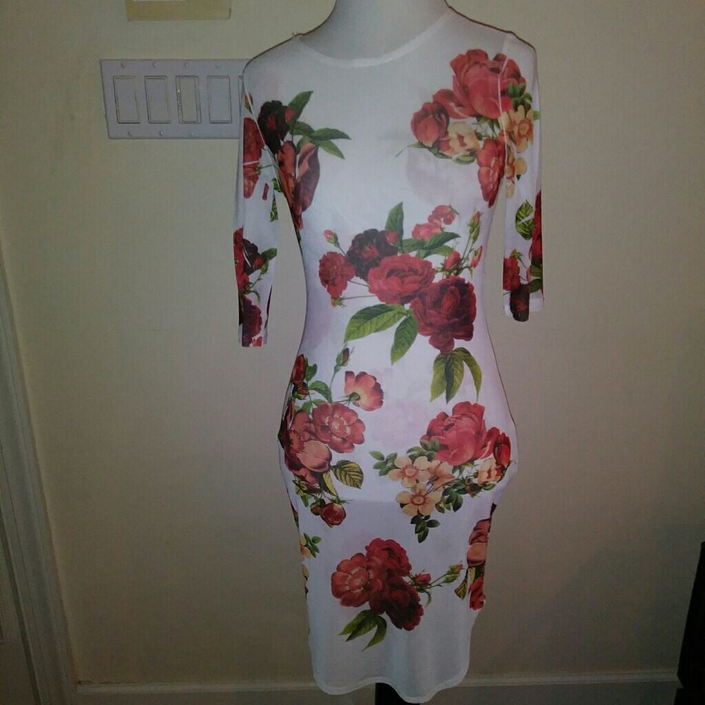 ARIA Sheer Floral Dress Size (size small)